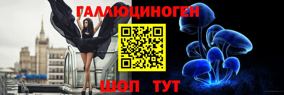 Псилоцибиновые грибы прущие грибы Назарово